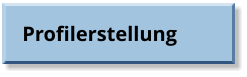 Profilerstellung